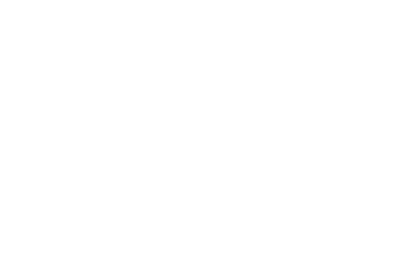 logo lot